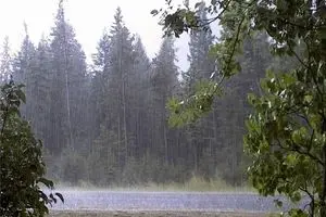 بارش رگبار باران در ۷ استان کشور/ احتمال سیلاب در مناطق کوهپایه‌ای