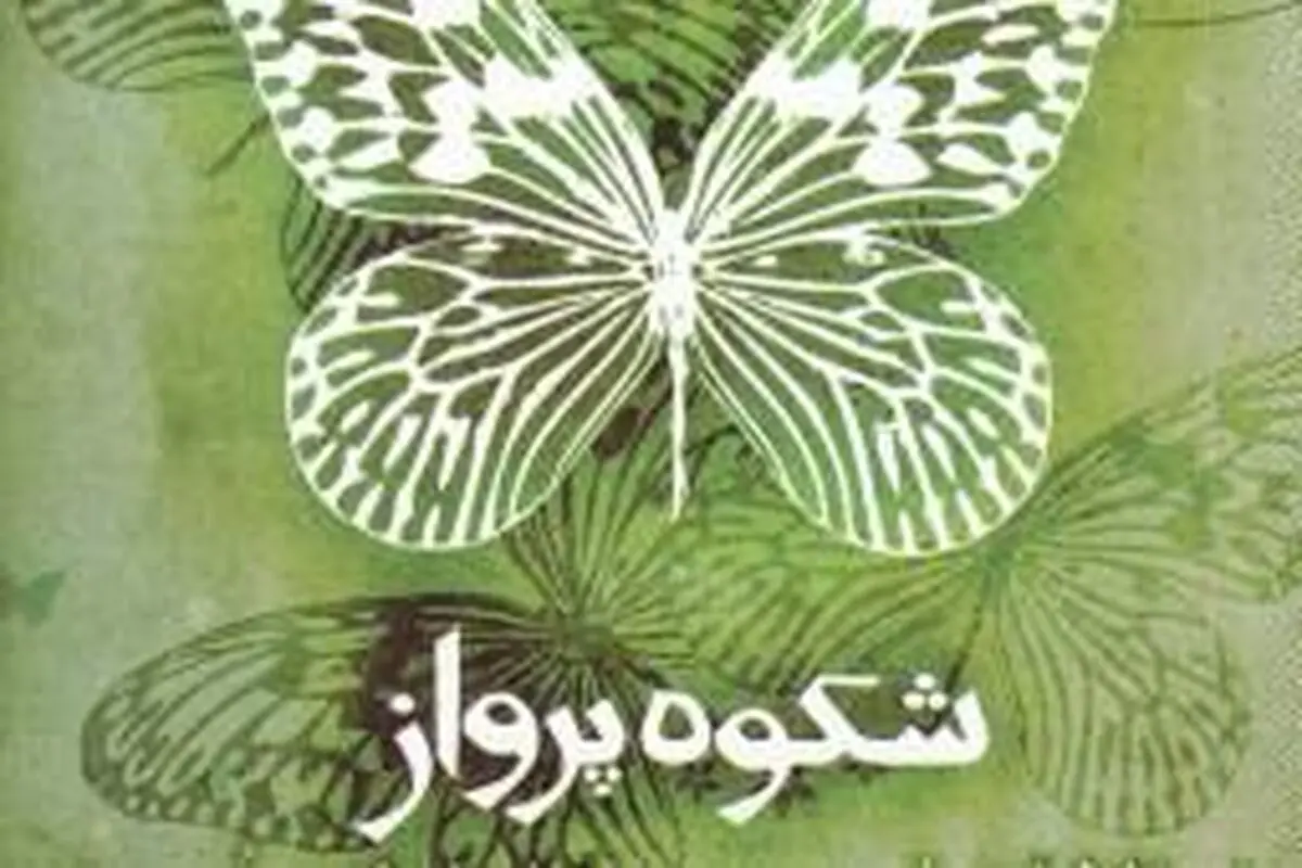 "شکوه پرواز"؛ روایتی از زندگی شهید شانزده ساله