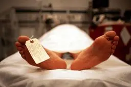 قتل پیمانکار شهرداری در درگیری شبانه خیابان کریم‌خان