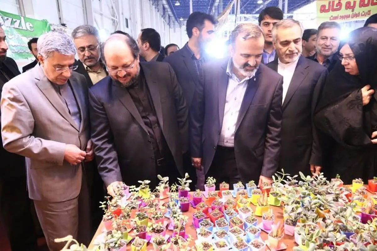 سکوت دولت در برابر مرغ ۸۵۰۰ تومانی!