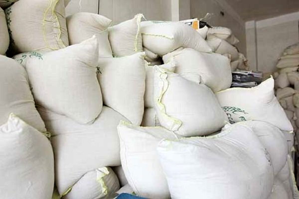 واردات برنج در فصل برداشت توجیهی جز منفعت دلالان ندارد