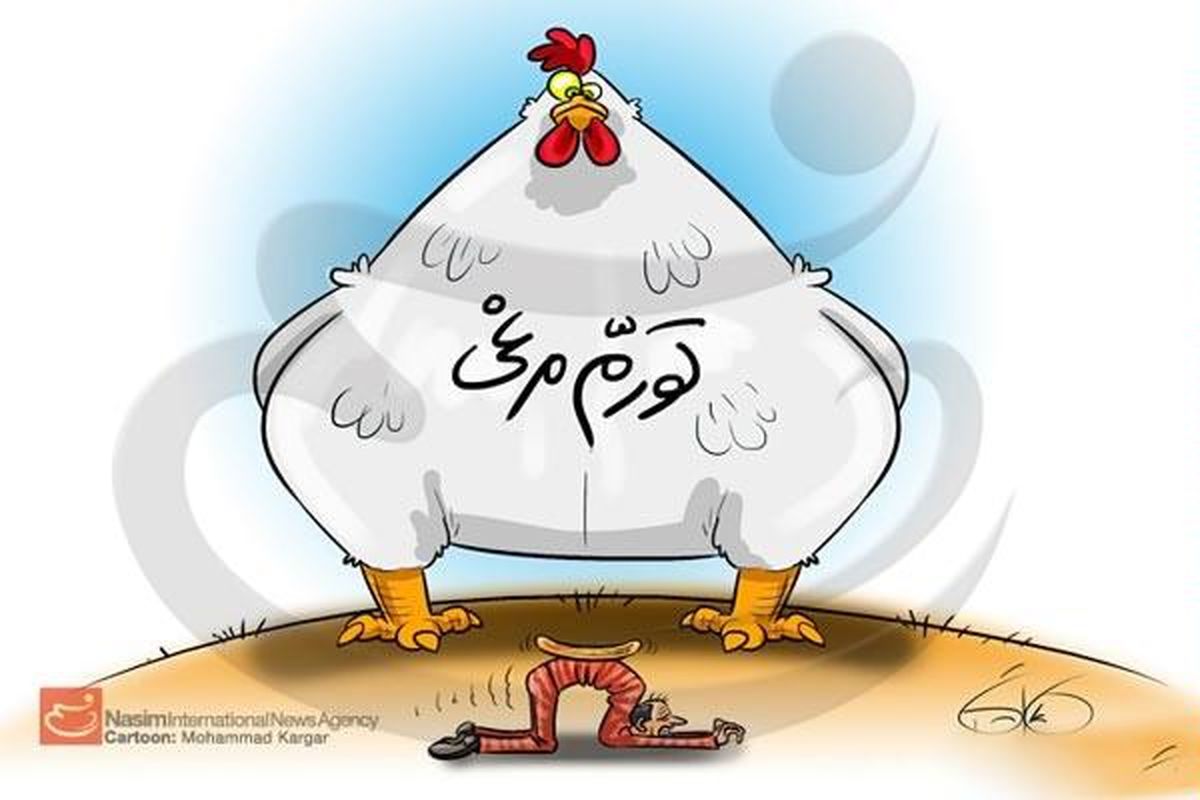 تورم مرغی/ مرغ گران‌تر شد