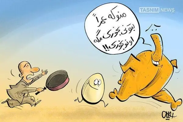 کورس مرغ و تخم مرغ