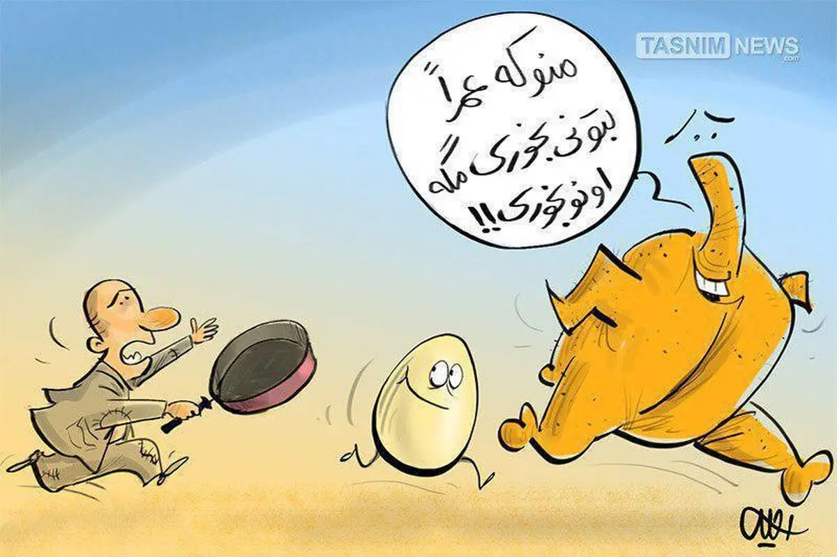 کورس مرغ و تخم مرغ