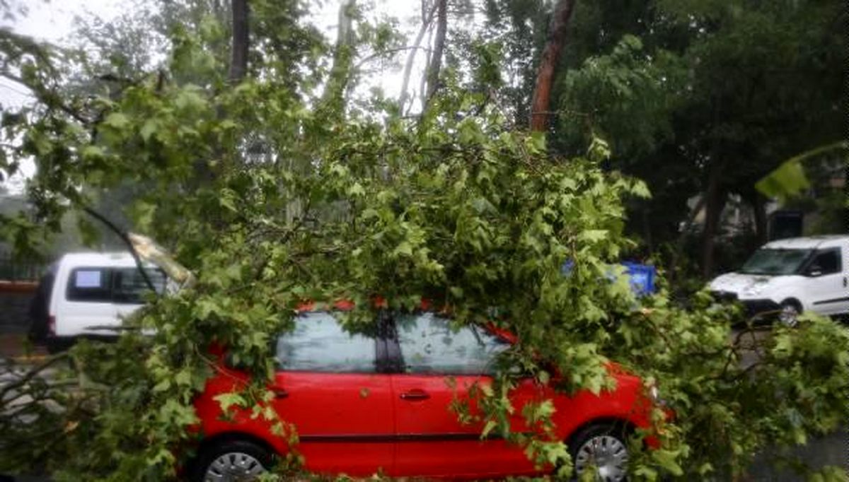 قطع درختان و شکستن شیشه ماشین‌ها؛ از خسارات طوفان و تگرگ شدید در استانبول