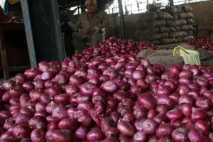 دو ماه گذشت، پیاز کماکان کیلویی ۴۰۰۰ تومان است