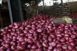 دو ماه گذشت، پیاز کماکان کیلویی ۴۰۰۰ تومان است