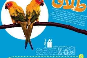 ۵ نکته مهم پیرامون طلاق