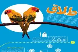 ۵ نکته مهم پیرامون طلاق