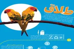 ۵ نکته مهم پیرامون طلاق