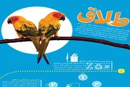 ۵ نکته مهم پیرامون طلاق
