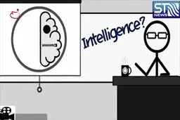 دو نیمکره مغز چگونه با یکدیگر همکاری می‌کنند!؟