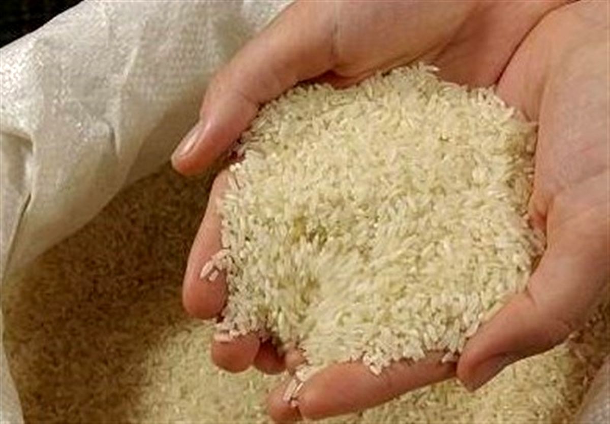 آغاز خرید تضمینی برنج به قیمت ۹۱۰۰ تومان از فردا