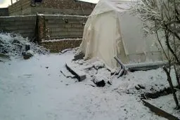 زلزله‌زدگانی که آرزوی مرگ در زلزله را دارند!