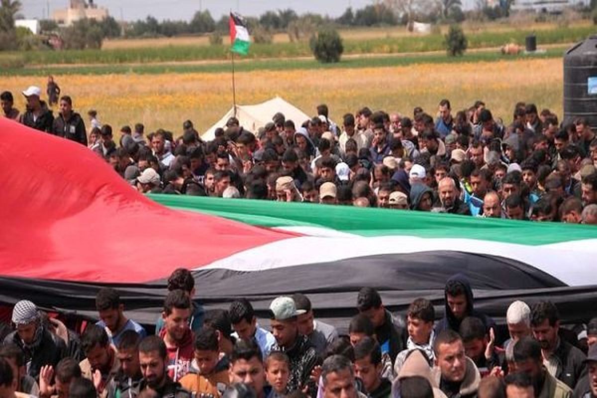حمایت بیش از ۴ هزار استاد دانشگاه آزاد از مقاومت فلسطین