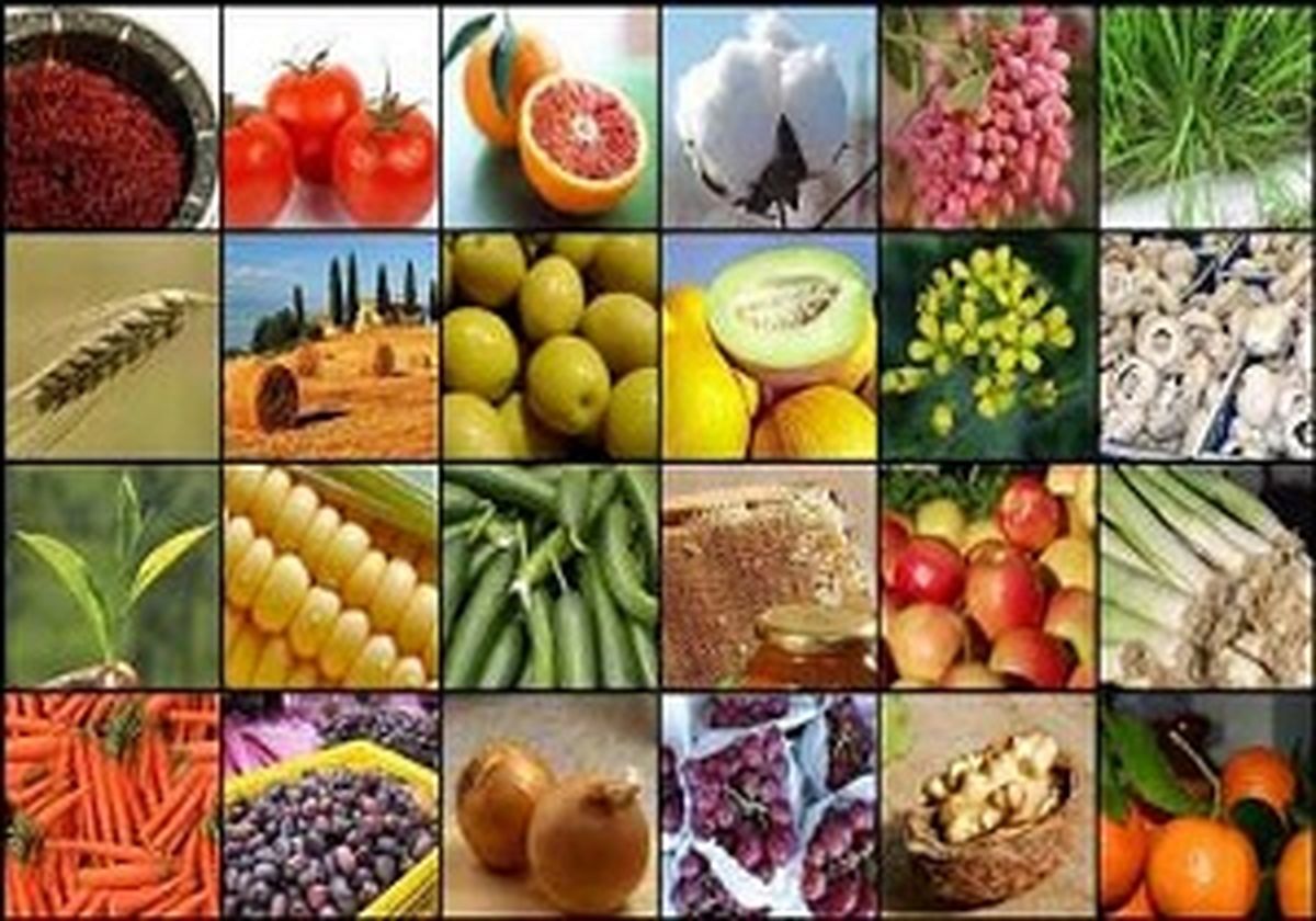 تاثیر امضای قرارداد سوآپ ارزی در تجارت محصولات کشاورزی ایران و ترکیه