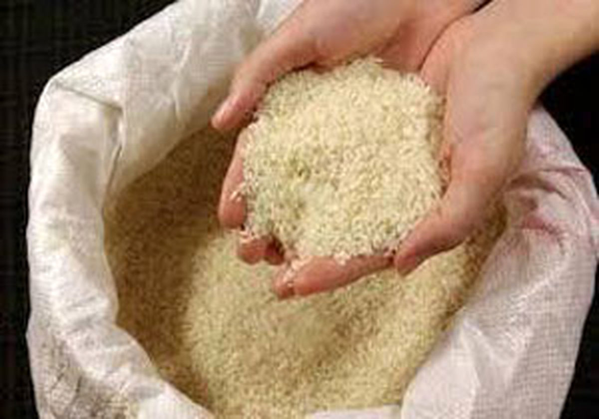 واردات برنج تا پایان تیرماه آزاد است