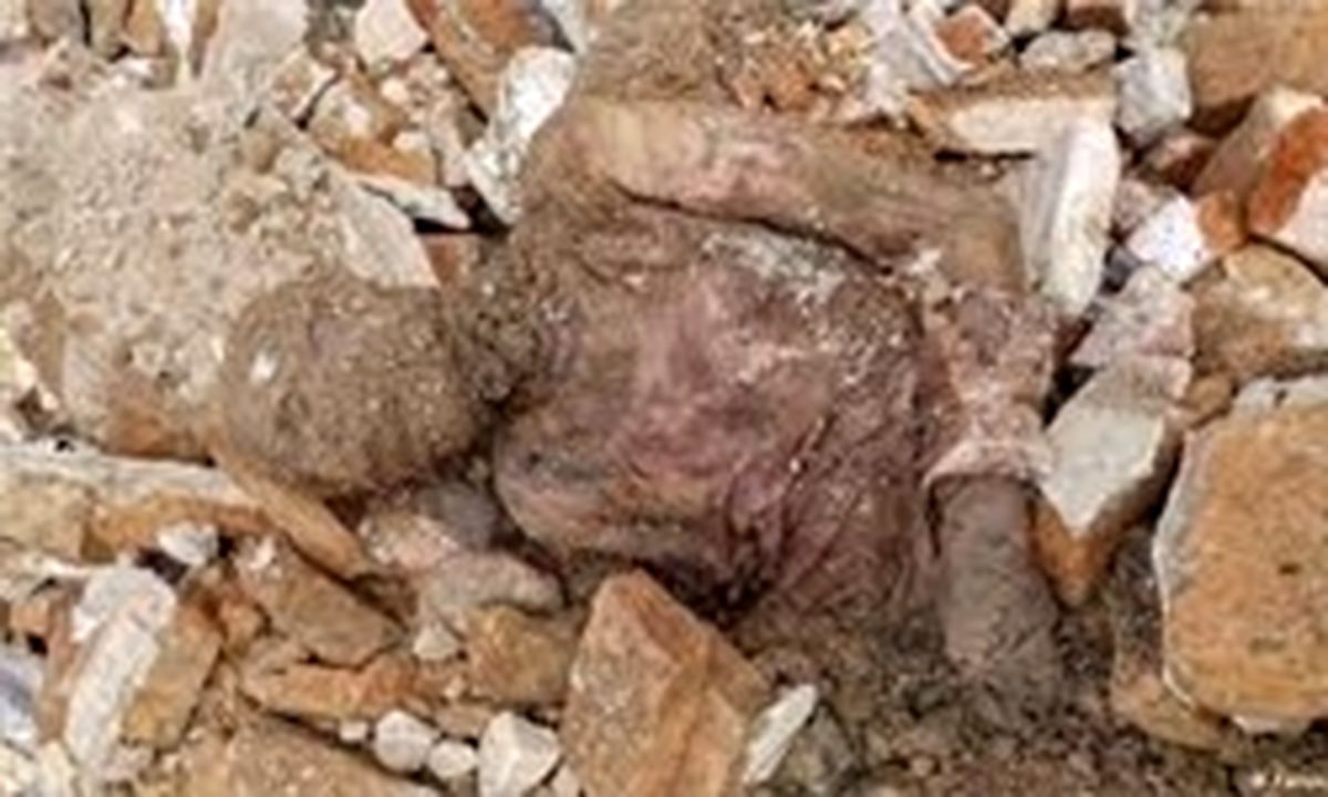 آیا جسد مومیایی مربوط به رضاخان است؟ / جزئیات جدید از ماجرای کشف مومیایی در شهر ری