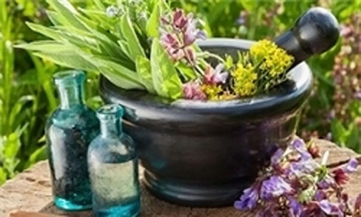 داروی گیاهی استرس را کاهش می‌دهند