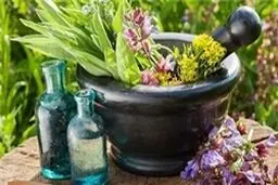 داروی گیاهی استرس را کاهش می‌دهند