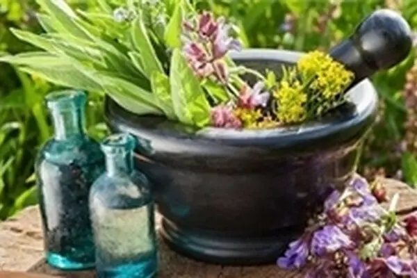 داروی گیاهی استرس را کاهش می‌دهند