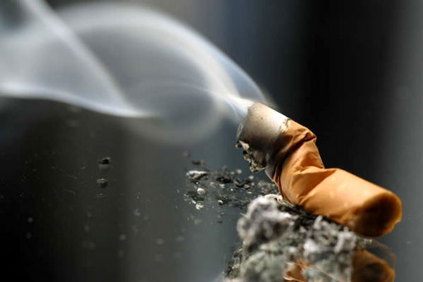 ضرورت استمرار حمایت‌های دولت و مجلس برای افزایش مالیات دخانیات