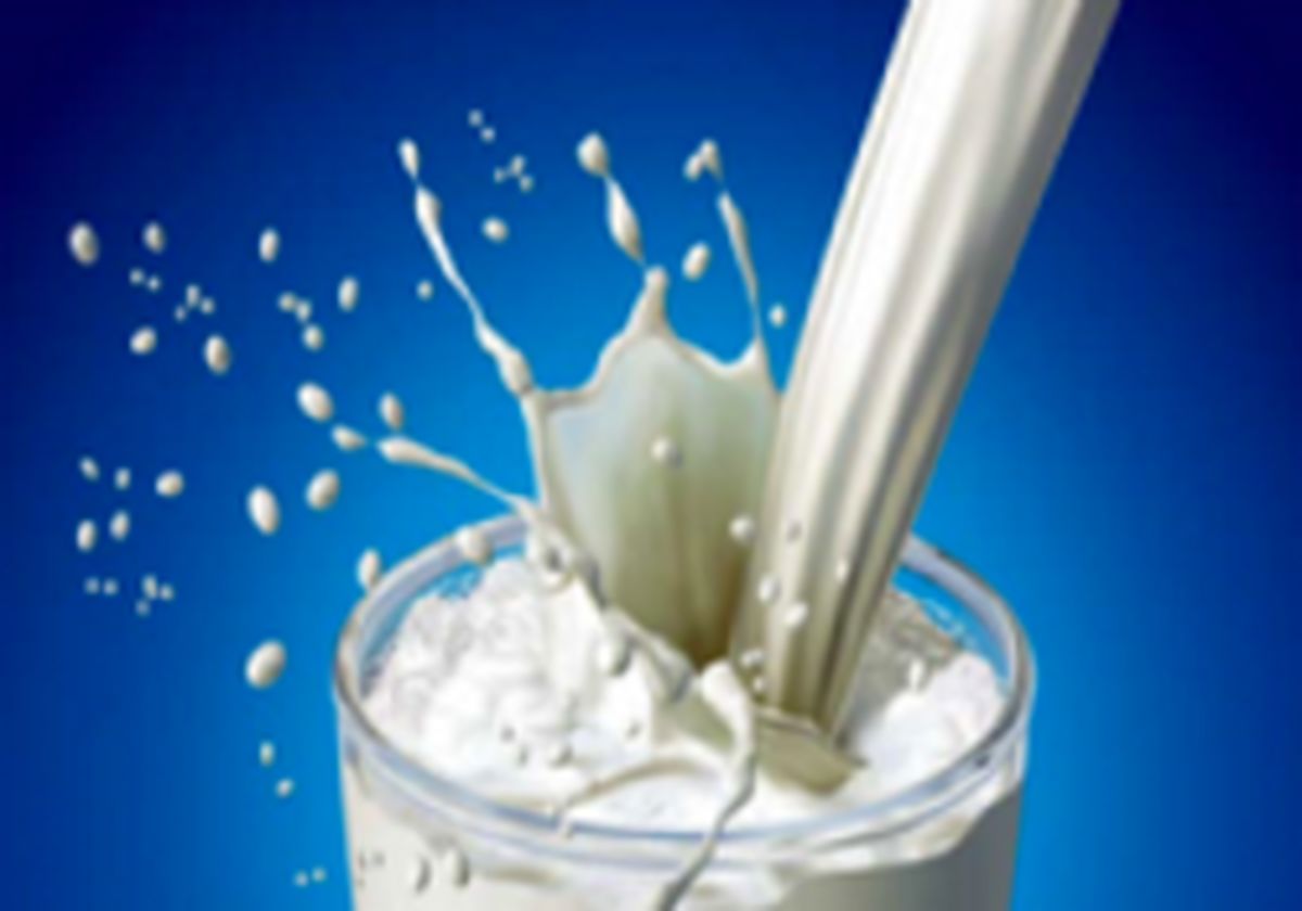تولید ۱۰ میلیون تن شیر و صادرات ۱ میلیون تن لبنیات