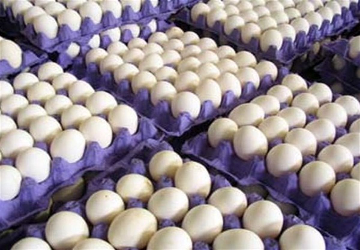 هزینه تولید تخم‌مرغ ۴۰ درصد افزایش یافت