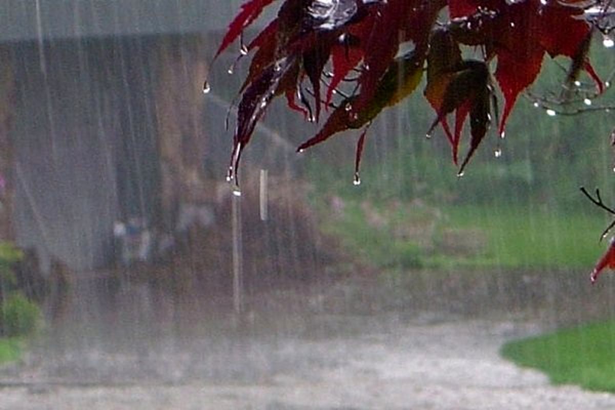 حجم بارش‌ها به ۱۶۶ میلیمتر رسید/هرمزگان؛ کم بارش‌ترین استان