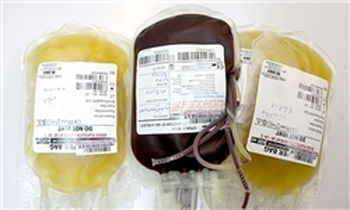 اهدای ۱۱ هزار واحد پلاکت و پلاسما در سال گذشته/ مراجعه ۴۰۰ هزار تهرانی برای اهدای خون