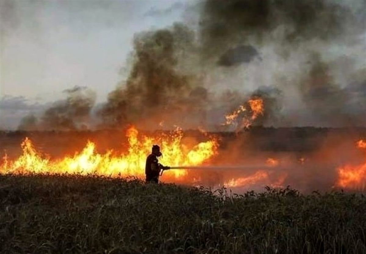 تحولات فلسطین|۱۷ آتش‌سوزی در سرزمین‌های اشغالی به سبب بادبادک‌های آتشین