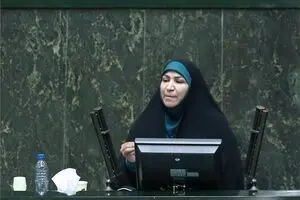 اینجا خانه ملت است نه خانه دولت!