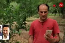 دوست داری دامادت فشن باشه یا معمولی؟