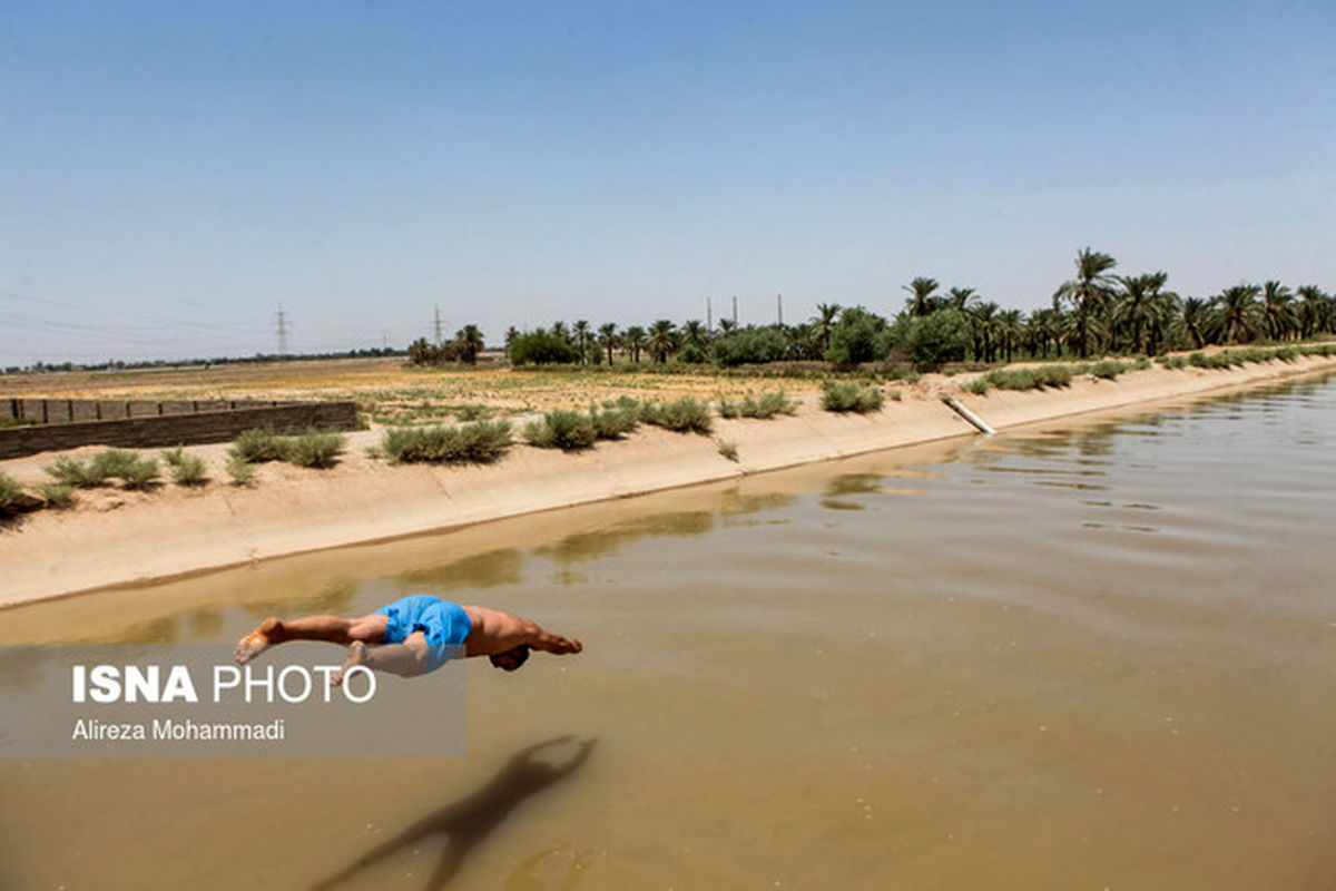 نفرات برگزیده مسابقات شنای پسران در المپیاد ورزشی دانشجویان کشور