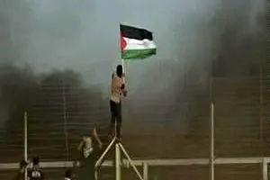 برگزاری راهپیمایی هفتگی بازگشت در غزه با سه شهید