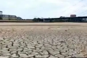 رودخانه معروف راین خشک شد