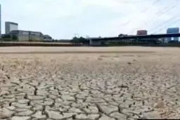 رودخانه معروف راین خشک شد