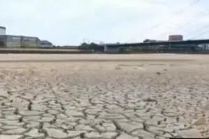 رودخانه معروف راین خشک شد