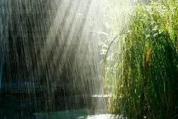 باران در شهرهای شمالی کشور