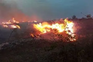باران آتش میانکاله را خاموش کرد
