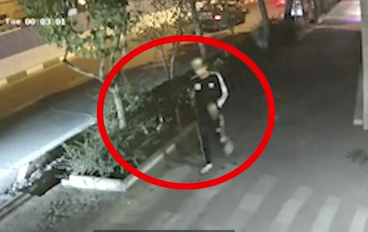سرقت گوشی موبایل از دست راننده داخل اتومبیل