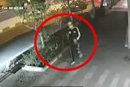 سرقت گوشی موبایل از دست راننده داخل اتومبیل