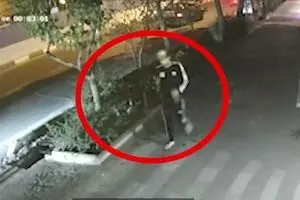 سرقت گوشی موبایل از دست راننده داخل اتومبیل