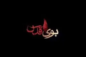 موشن گرافیک 