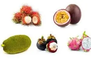 میوه‌های لاکچری به قیمت فضایی