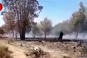 ادامه روند آتش سوزی مزارع صهیونیست‌ها توسط بادکنک‌های آتش‌زای فلسطینیان