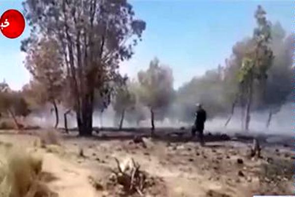 ادامه روند آتش سوزی مزارع صهیونیست‌ها توسط بادکنک‌های آتش‌زای فلسطینیان
