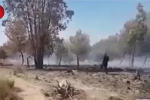 ادامه روند آتش سوزی مزارع صهیونیست‌ها توسط بادکنک‌های آتش‌زای فلسطینیان