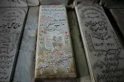 پویش مردمی 