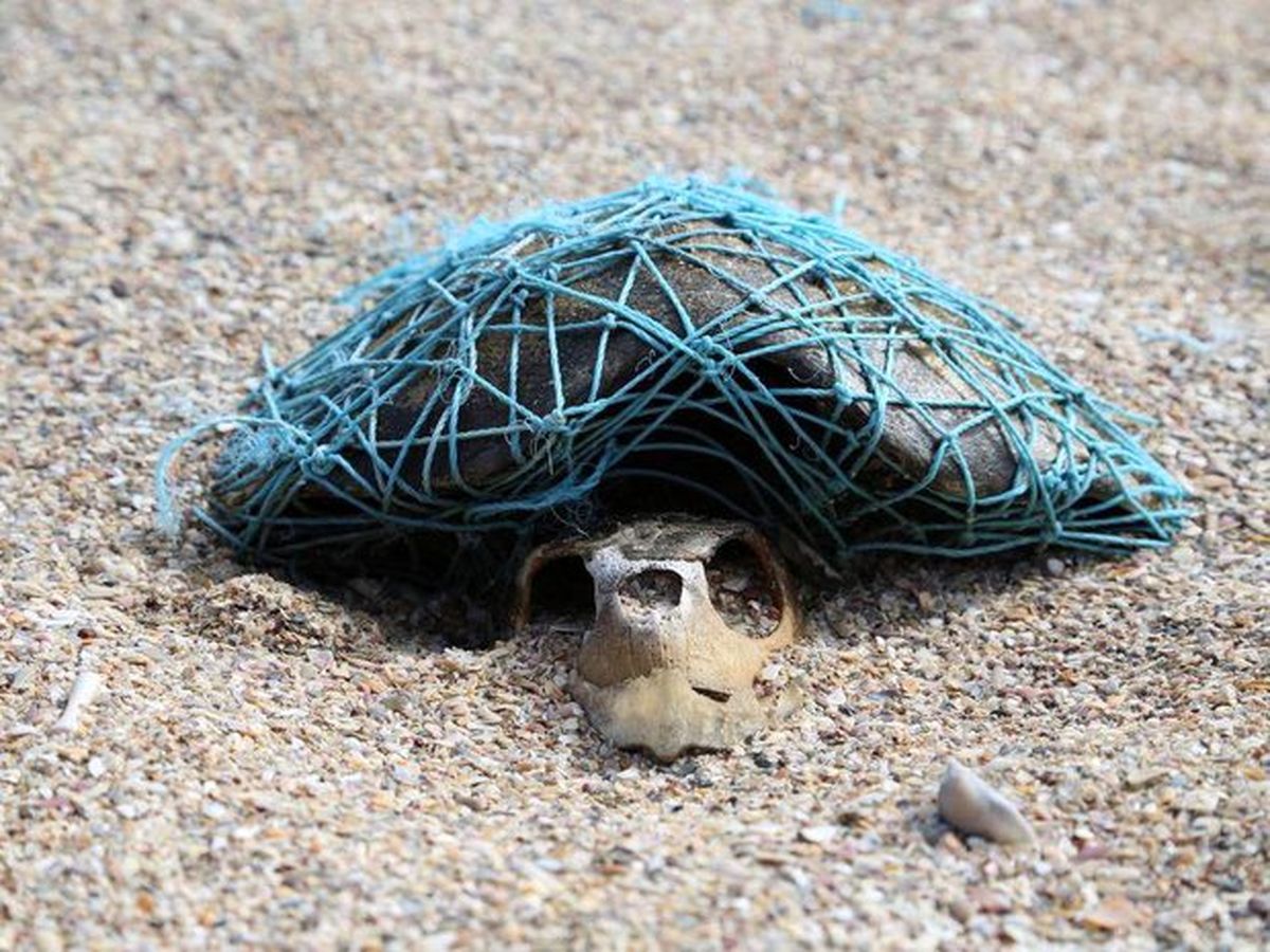 تا سال ۲۰۵۰، دریاها بیشتر حاوی پلاستیک خواهند بود تا ماهی